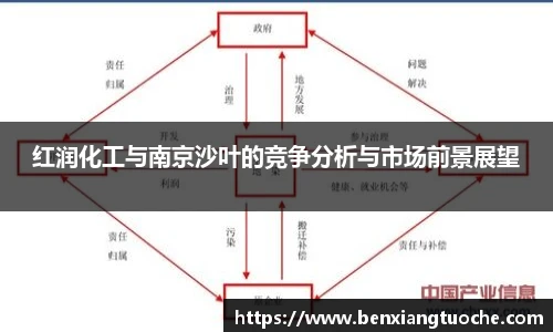红润化工与南京沙叶的竞争分析与市场前景展望